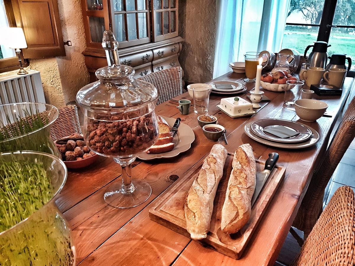 Le Domaine Saint Martin Bed & Breakfast Flassans-sur-Issole Ngoại thất bức ảnh